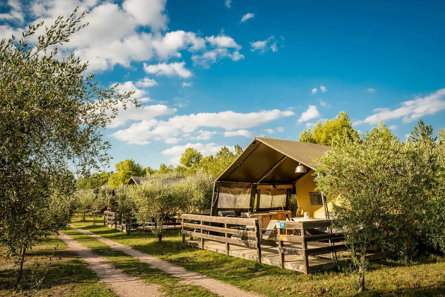 Lodge surrounded by greenery at Camping Pian di Boccio